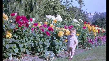 Free download harrogate movie video and edit with RedcoolMedia movie maker MovieStudio video editor online and AudioStudio audio editor onlin