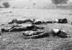 Free download Harvest Of Death (Standard 4:3) video and edit with RedcoolMedia movie maker MovieStudio video editor online and AudioStudio audio editor onlin