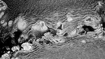 Free download Haut video and edit with RedcoolMedia movie maker MovieStudio video editor online and AudioStudio audio editor onlin