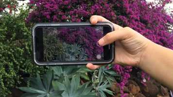 Free download Hawaii Youth Advocacy Film Contest: Smartphone Filmmaking video and edit with RedcoolMedia movie maker MovieStudio video editor online and AudioStudio audio editor onlin