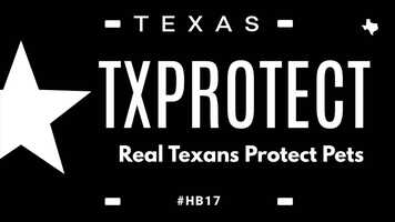 Free download HB 17 video and edit with RedcoolMedia movie maker MovieStudio video editor online and AudioStudio audio editor onlin