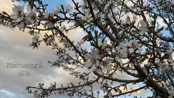 Free download Heal - You with Your Camera video and edit with RedcoolMedia movie maker MovieStudio video editor online and AudioStudio audio editor onlin