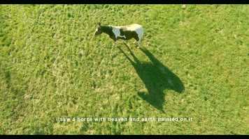 Free download Heaven and Earth A Ritual Trailer video and edit with RedcoolMedia movie maker MovieStudio video editor online and AudioStudio audio editor onlin
