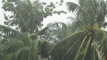 Free download Heavy Calming tropical Rain video and edit with RedcoolMedia movie maker MovieStudio video editor online and AudioStudio audio editor onlin