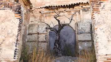 Free download Hefesto - Furius (Official Video) video and edit with RedcoolMedia movie maker MovieStudio video editor online and AudioStudio audio editor onlin