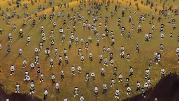 Free download Helado Negro - ILUMINA VOS Music vid video and edit with RedcoolMedia movie maker MovieStudio video editor online and AudioStudio audio editor onlin