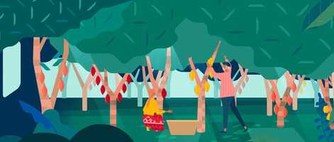 Free download Hello, Chocolate video and edit with RedcoolMedia movie maker MovieStudio video editor online and AudioStudio audio editor onlin