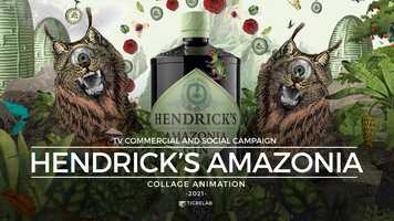 Free download Hendricks Amazonia Collage Animation video and edit with RedcoolMedia movie maker MovieStudio video editor online and AudioStudio audio editor onlin