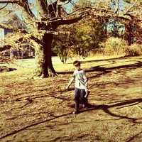 Free download Hey Ma, Its January Spring! video and edit with RedcoolMedia movie maker MovieStudio video editor online and AudioStudio audio editor onlin