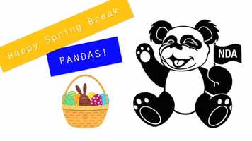Free download Hey Pandas - Happy Spring Break! video and edit with RedcoolMedia movie maker MovieStudio video editor online and AudioStudio audio editor onlin