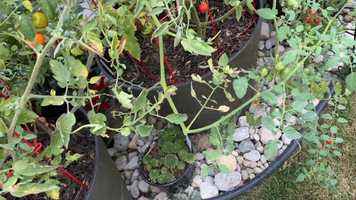 Free download Hignite Hospitality video and edit with RedcoolMedia movie maker MovieStudio video editor online and AudioStudio audio editor onlin