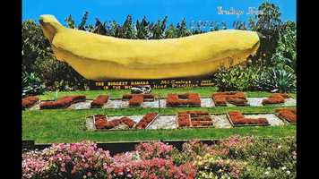 Free download Hi Jimmy video and edit with RedcoolMedia movie maker MovieStudio video editor online and AudioStudio audio editor onlin