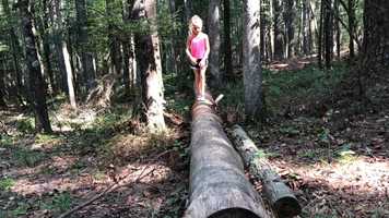 Free download Hiking on a Football Saturday video and edit with RedcoolMedia movie maker MovieStudio video editor online and AudioStudio audio editor onlin