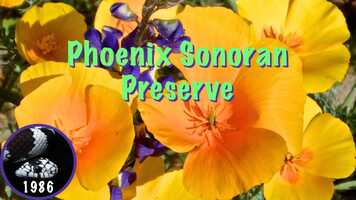 Free download Hiking Phoenix Sononoran Preserve video and edit with RedcoolMedia movie maker MovieStudio video editor online and AudioStudio audio editor onlin