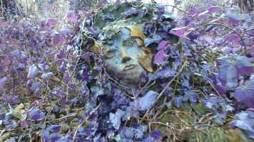 Free download Hilltop Hoods - The Nosebleed Section (Music Video) video and edit with RedcoolMedia movie maker MovieStudio video editor online and AudioStudio audio editor onlin