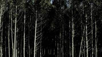 Free download hinok_film in JEJU(final) video and edit with RedcoolMedia movie maker MovieStudio video editor online and AudioStudio audio editor onlin