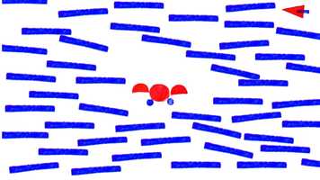 Free download Hippopotamus and the carrot video and edit with RedcoolMedia movie maker MovieStudio video editor online and AudioStudio audio editor onlin