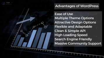 Free download Hire WordPress Developers By IT Path Solutions video and edit with RedcoolMedia movie maker MovieStudio video editor online and AudioStudio audio editor onlin