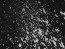 Free download Historians video and edit with RedcoolMedia movie maker MovieStudio video editor online and AudioStudio audio editor onlin