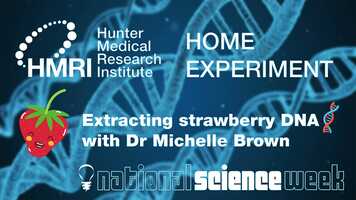 Free download HMRI Science Week - Extracting DNA at home video and edit with RedcoolMedia movie maker MovieStudio video editor online and AudioStudio audio editor onlin