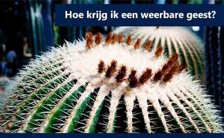 Free download Hoe krijg ik een weerbare geest video and edit with RedcoolMedia movie maker MovieStudio video editor online and AudioStudio audio editor onlin