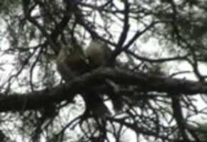 Free download Holiday to Bolivia, Peru + Eastern Island video and edit with RedcoolMedia movie maker MovieStudio video editor online and AudioStudio audio editor onlin