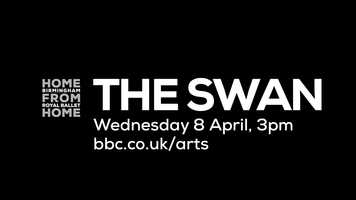 Free download Home from Home: trailer for The Swan video and edit with RedcoolMedia movie maker MovieStudio video editor online and AudioStudio audio editor onlin