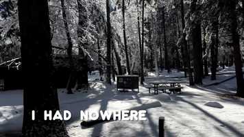 Free download Homeless Donkey Video video and edit with RedcoolMedia movie maker MovieStudio video editor online and AudioStudio audio editor onlin