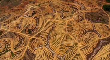 Free download HOME -SIMONET-EL OUED video and edit with RedcoolMedia movie maker MovieStudio video editor online and AudioStudio audio editor onlin