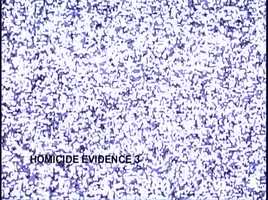 Free download Homicide Evidence 3  -Crime/Horror- NewSilverScreenArtists - gumroad.com - Ray Ragenious video and edit with RedcoolMedia movie maker MovieStudio video editor online and AudioStudio audio editor onlin