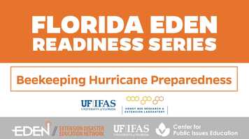 Free download Honey Bee Hurricane Preparedness video and edit with RedcoolMedia movie maker MovieStudio video editor online and AudioStudio audio editor onlin