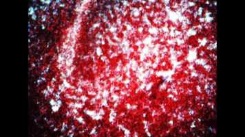 Free download Horror Vacui video and edit with RedcoolMedia movie maker MovieStudio video editor online and AudioStudio audio editor onlin