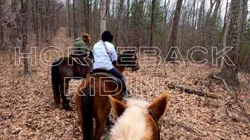 Free download Horseback Riding in Shenandoah National Park - Part 03 video and edit with RedcoolMedia movie maker MovieStudio video editor online and AudioStudio audio editor onlin
