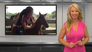 Free download Horse Capital TV - Bobby Jones Equine/North Marion High School FFA video and edit with RedcoolMedia movie maker MovieStudio video editor online and AudioStudio audio editor onlin