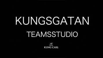 Free download Hotel Kung Carl Teamsstudio video and edit with RedcoolMedia movie maker MovieStudio video editor online and AudioStudio audio editor onlin