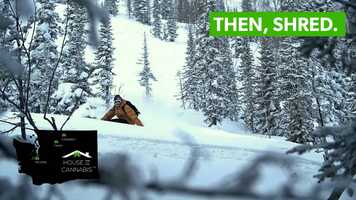 Free download House of Cannabis - Things to do while Stoned #98 video and edit with RedcoolMedia movie maker MovieStudio video editor online and AudioStudio audio editor onlin