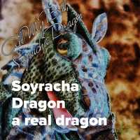 Free download House Of The Dragon dot com The Movie The Beginning video and edit with RedcoolMedia movie maker MovieStudio video editor online and AudioStudio audio editor onlin