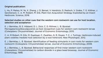 Free download How a herbivore hijacks a nutrient uptake strategy of its host plant video and edit with RedcoolMedia movie maker MovieStudio video editor online and AudioStudio audio editor onlin