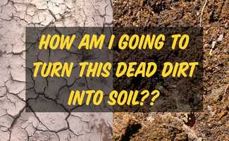 Free download How am I going to turn this DEAD DIRT into SOIL?? video and edit with RedcoolMedia movie maker MovieStudio video editor online and AudioStudio audio editor onlin
