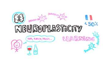 Free download How Complaining Rewires The Brain What You Think, You Become   Science of Behavior video and edit with RedcoolMedia movie maker MovieStudio video editor online and AudioStudio audio editor onlin