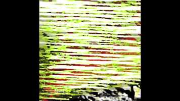 Free download How Green Was video and edit with RedcoolMedia movie maker MovieStudio video editor online and AudioStudio audio editor onlin