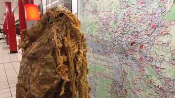 Free download How HATSUNE MIKU became a Jellyfish-2020-trailer video and edit with RedcoolMedia movie maker MovieStudio video editor online and AudioStudio audio editor onlin