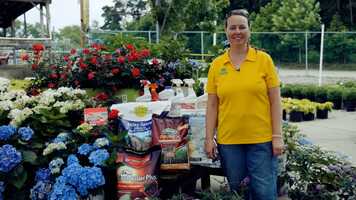 Free download How to Control Japanese Beetles video and edit with RedcoolMedia movie maker MovieStudio video editor online and AudioStudio audio editor onlin