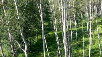 Free download How to do: The Slip Knot video and edit with RedcoolMedia movie maker MovieStudio video editor online and AudioStudio audio editor onlin