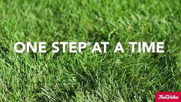 Free download How to Fertilize Your Lawn with the Scotts 4 Step Program video and edit with RedcoolMedia movie maker MovieStudio video editor online and AudioStudio audio editor onlin