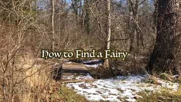 Free download How to Find a Fairy video and edit with RedcoolMedia movie maker MovieStudio video editor online and AudioStudio audio editor onlin