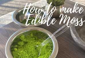 Free download How To Make Edible Moss video and edit with RedcoolMedia movie maker MovieStudio video editor online and AudioStudio audio editor onlin
