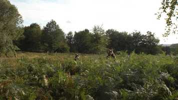 Free download How To Track Wolves - Wolf Trails video and edit with RedcoolMedia movie maker MovieStudio video editor online and AudioStudio audio editor onlin