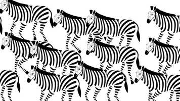Free download How Zebras Got Their Stripes video and edit with RedcoolMedia movie maker MovieStudio video editor online and AudioStudio audio editor onlin