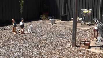 Free download HPG 3 West Parkway Andrews farm_04 video and edit with RedcoolMedia movie maker MovieStudio video editor online and AudioStudio audio editor onlin